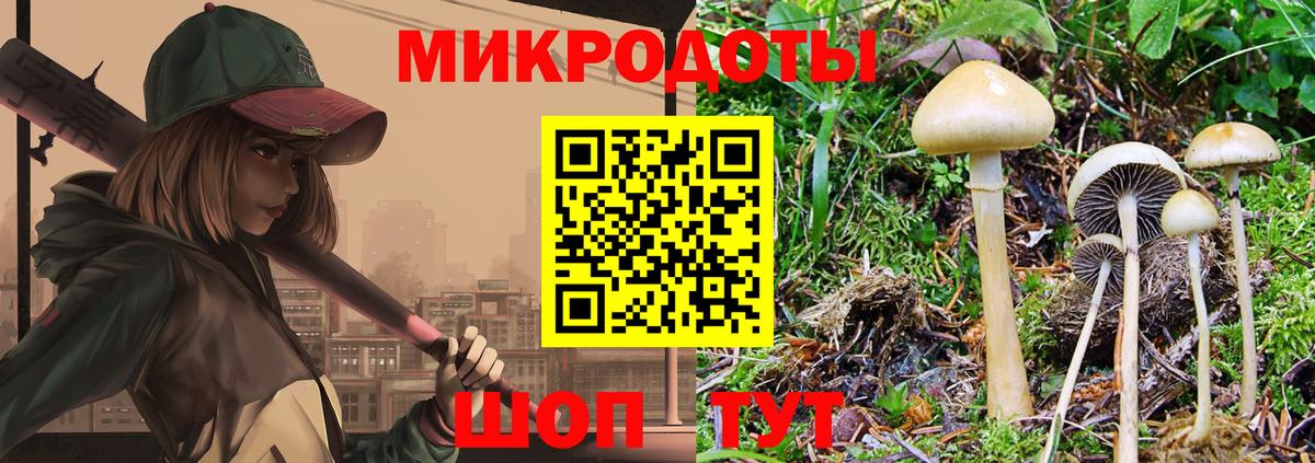Псилоцибиновые грибы Cubensis  Вход с VPN  Псилоцибиновые грибы Psilocybe  Наро-Фоминск 