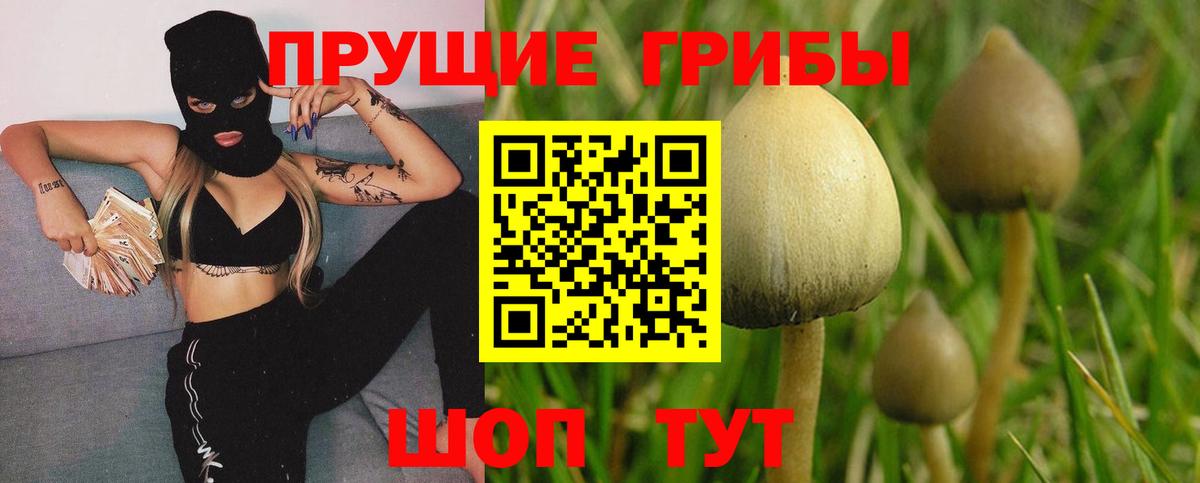 Галлюциногенные грибы GOLDEN TEACHER Наро-Фоминск